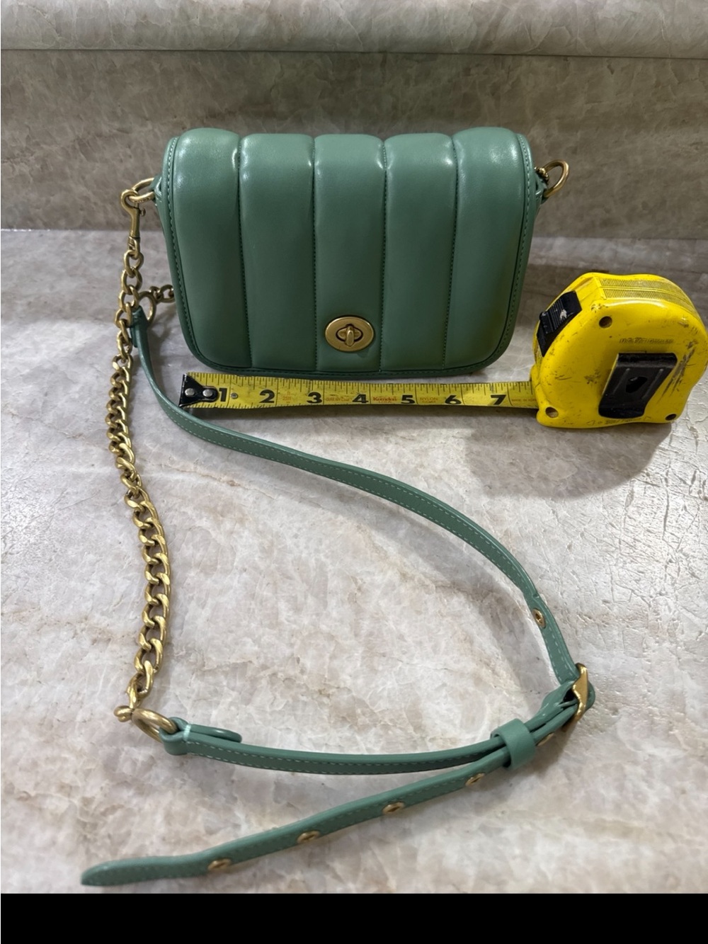 Coach Dinky handbag purse Quilted Mint Green Crossbody Bag with Gold Chain